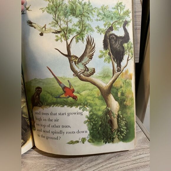 Wonders of Nature vintage kids book 1950s - Picture 4 of 5